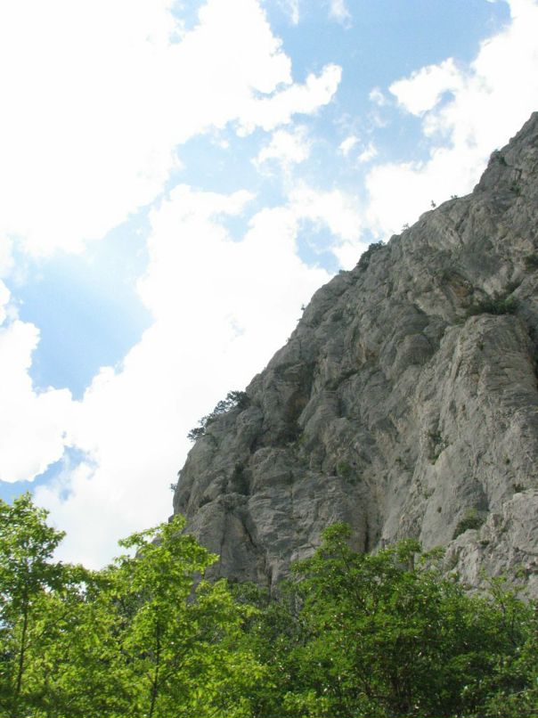 Мари Иванок фотография #47